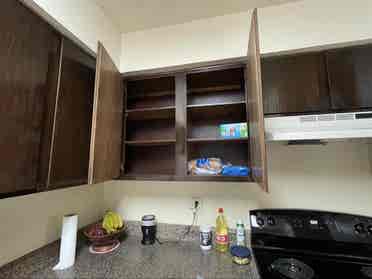 Female roommate only