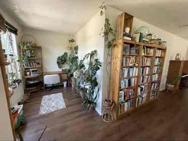 Room in South Austin House