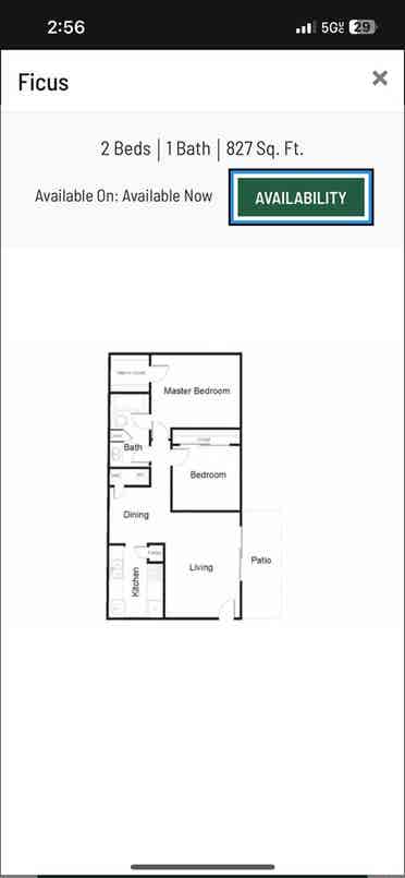 Looking for a KSU roommate!