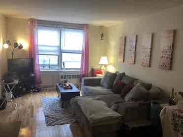 Room for rent in Forest Hills! 