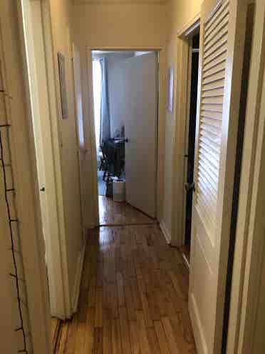 Room for rent in Forest Hills! 