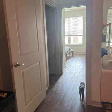 Private room+bath