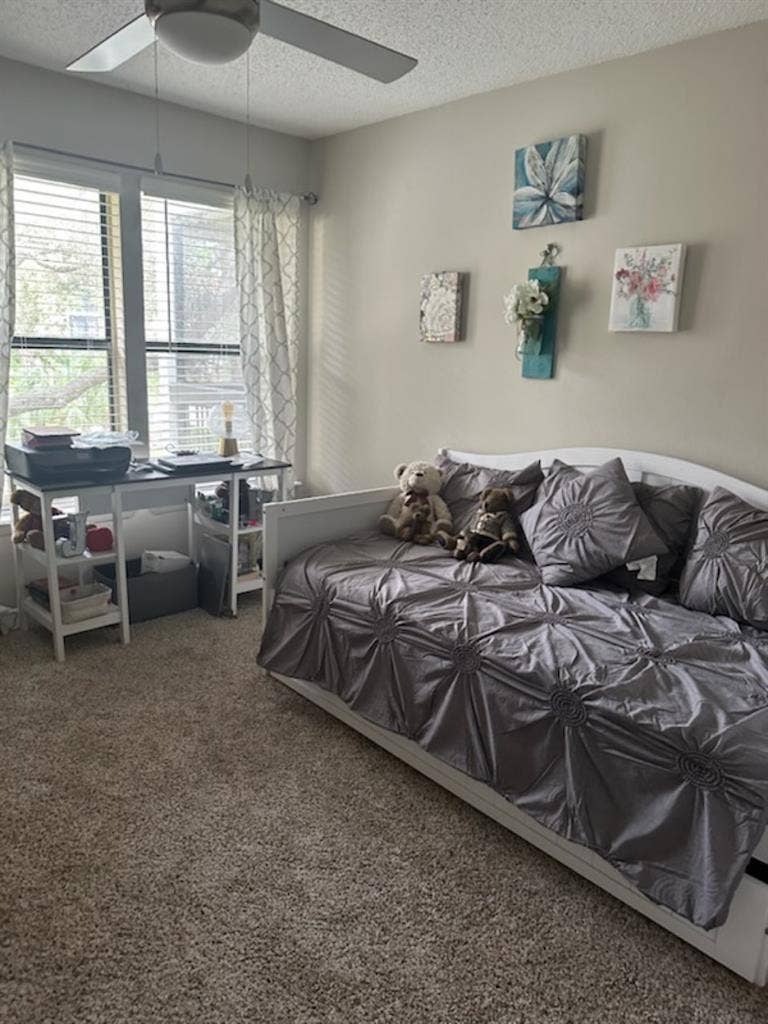 Looking for a roommate