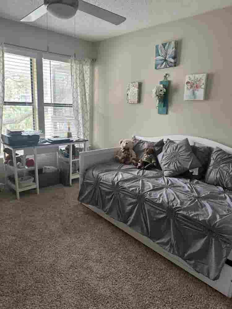 Looking for a roommate