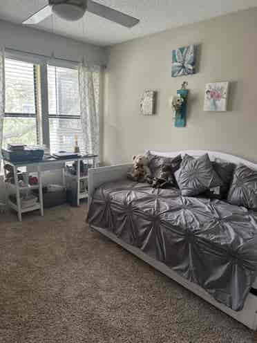 Looking for a roommate