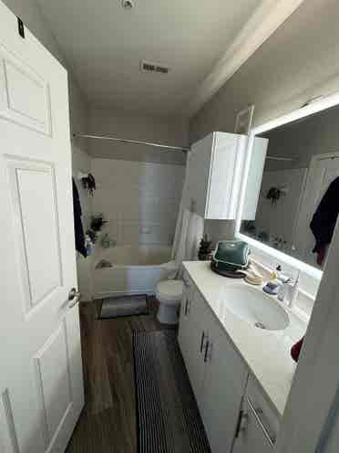 LoHi Short Lease