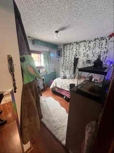 2 bedroom downstairs for rent!