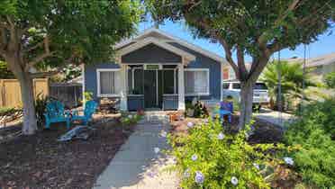 Looking for a roommate