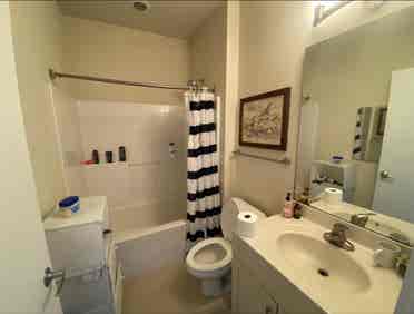 Roommate Wanted in Downtown Durham