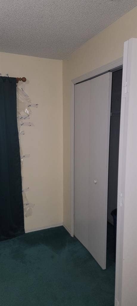 Private room with shared bathroom