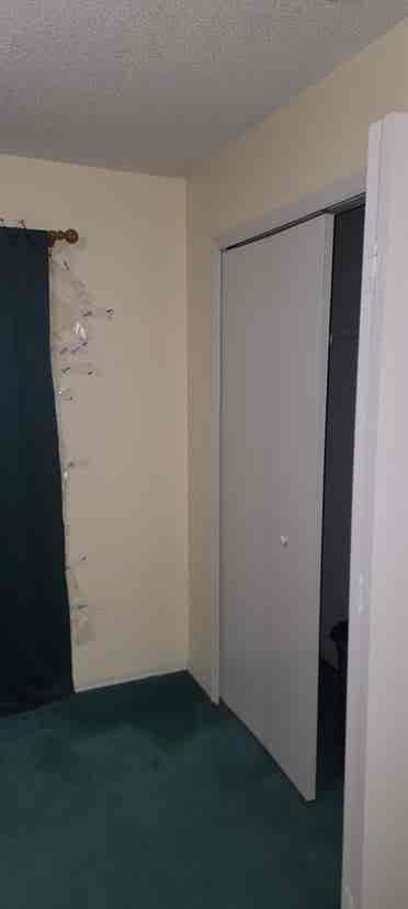 Private room with shared bathroom