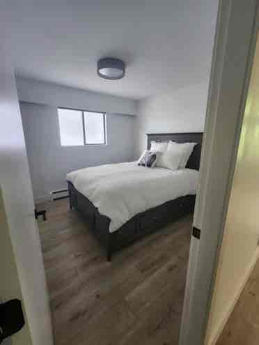 Large modern house- Metro Vancouver