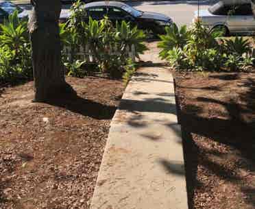 Furnished summer sublet in West LA