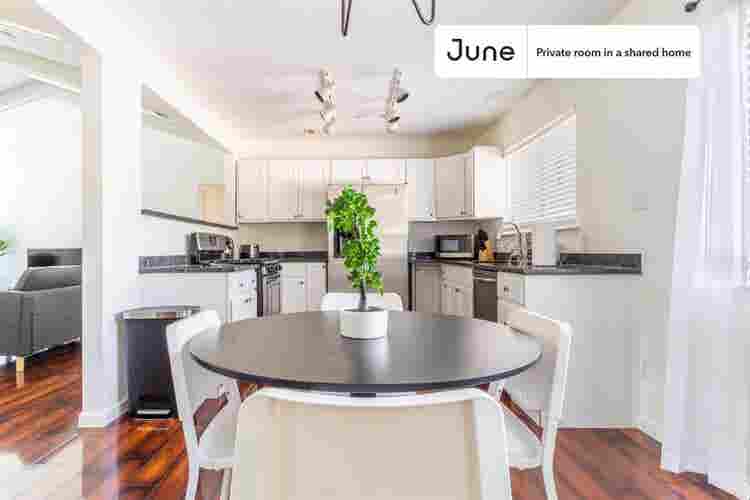 4 BR in Austin