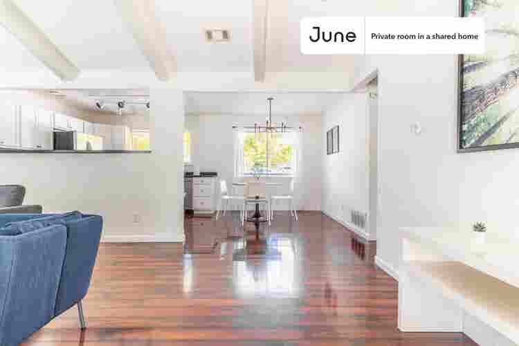 4 BR in Austin