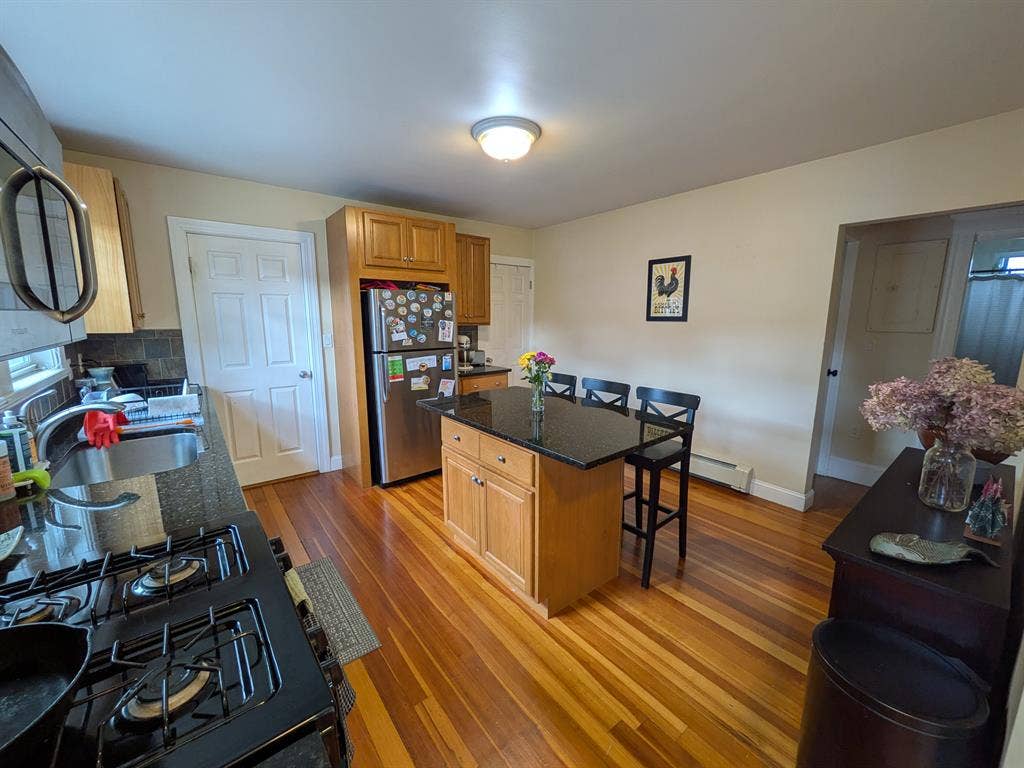 Seeking 2 Roommates in Brighton Apt