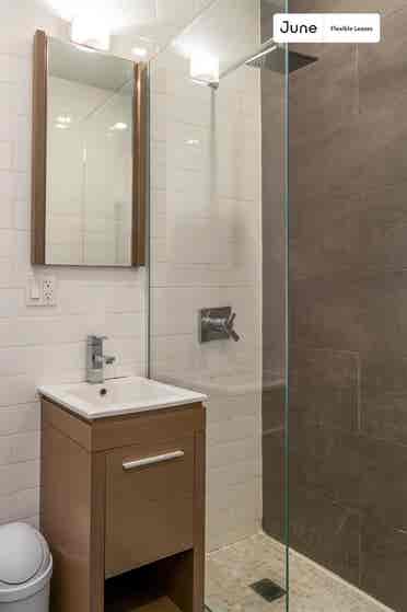 1 BR in New York City