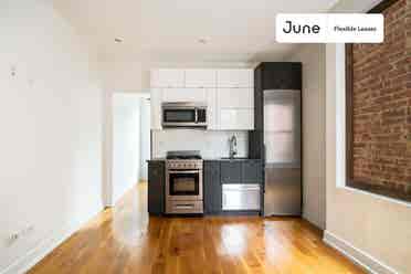 1 BR in New York City