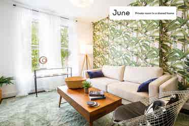 3 BR in New York City