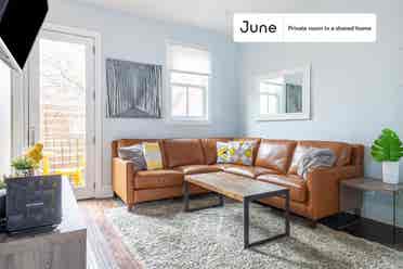 5 BR in Washington DC