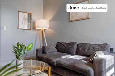 3 BR in Boston
