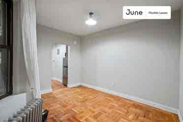 1 BR in New York City