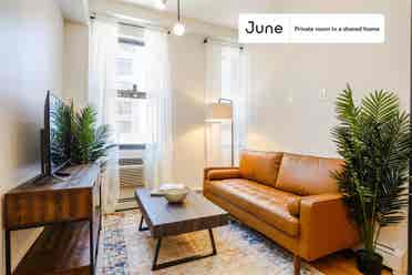 3 BR in New York City
