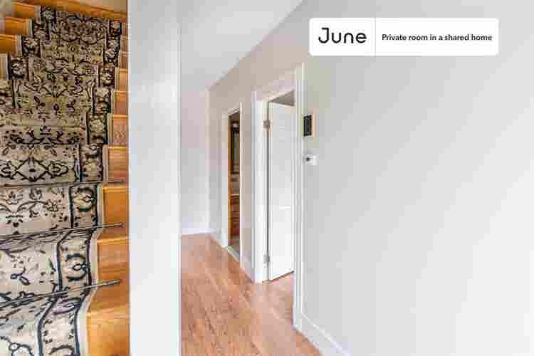 6 BR in Boston