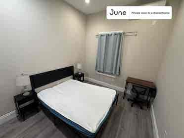 3 BR in New York City