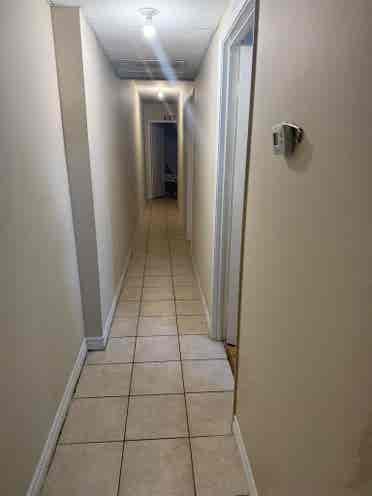 Baldwin Street Listing