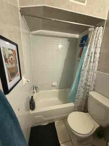 Baldwin Street Listing