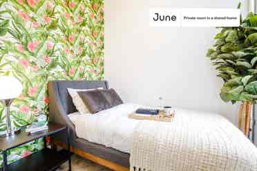 3 BR in New York City