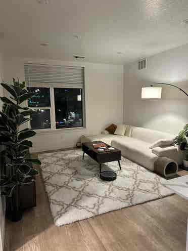 NEED A ROOMMATE ASAP
