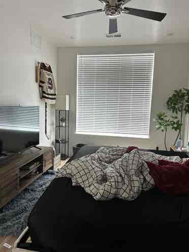 NEED A ROOMMATE ASAP