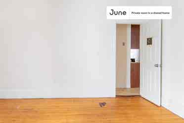 5 BR in Boston