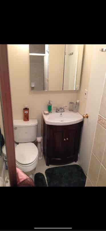 One bedroom in New Hyde Park