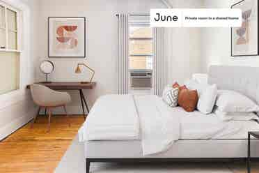 6 BR in Washington DC