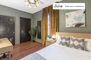 4 BR in Boston