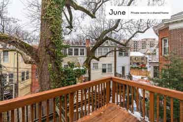 7 BR in Washington DC