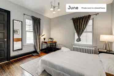 7 BR in Washington DC