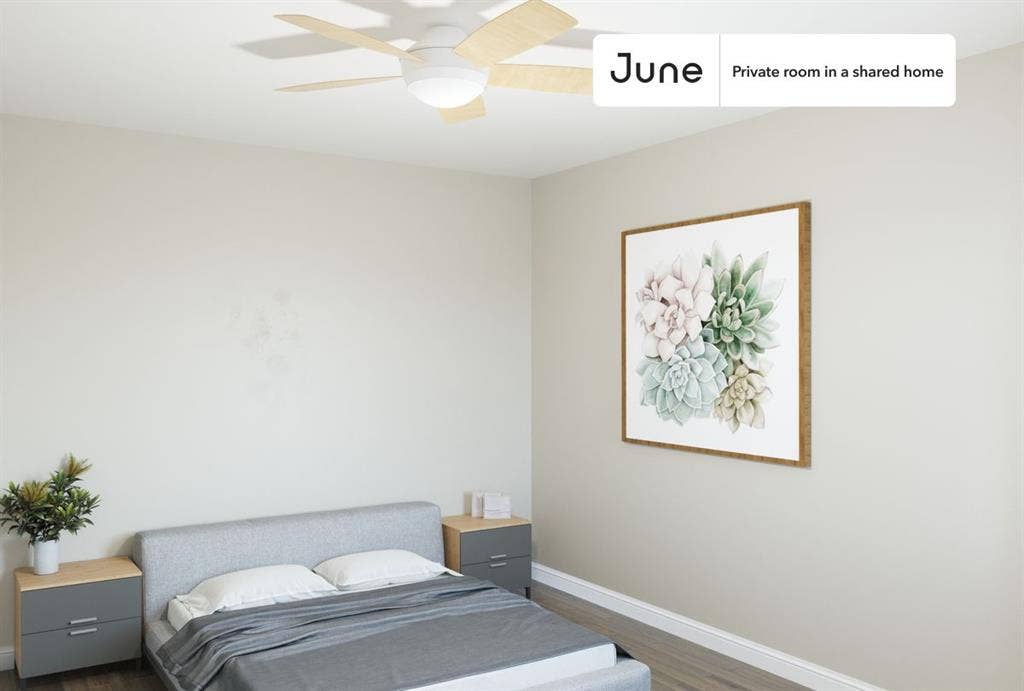 3 BR in Chicago