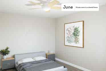 3 BR in Chicago