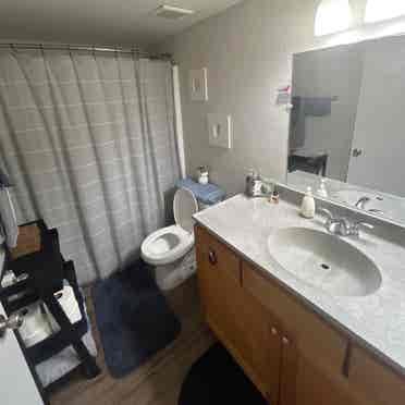 $, Glendale, August move in