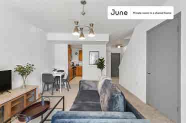 5 BR in Washington DC