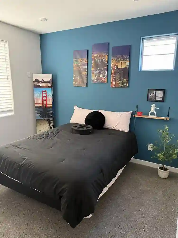 Modern room in Spring Valley