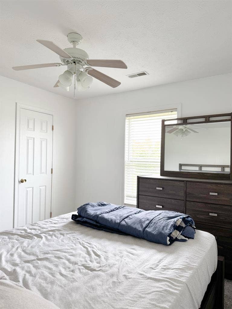 Currently looking for a roommate