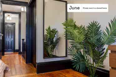 5 BR in Boston