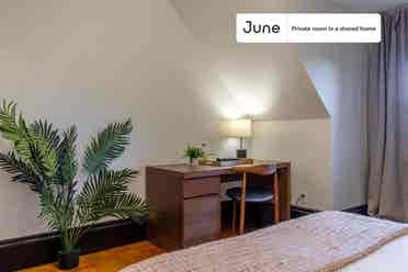 5 BR in Boston