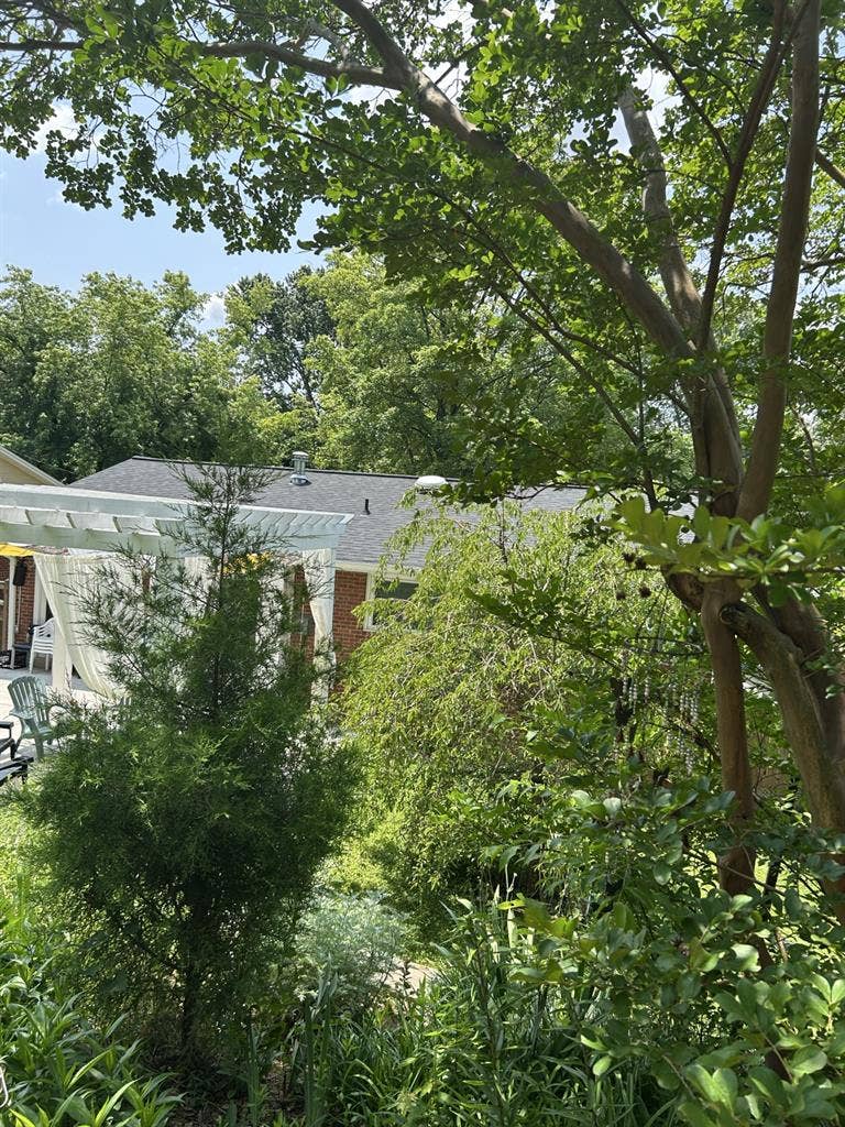 Private Studio Apartment for rent