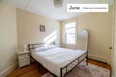 4 BR in Boston